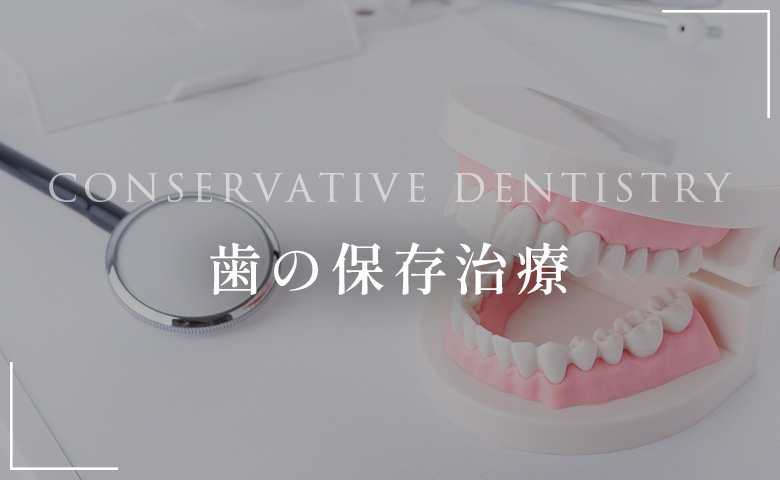 歯の保存治療